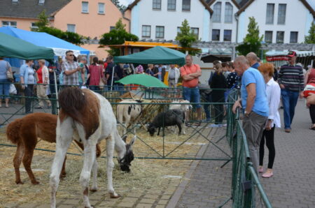 Am nächsten Wochenende (8. und 9. Juli) lädt der beliebte Handwerker- und Bauernmarkt wieder nach Burg ein. 