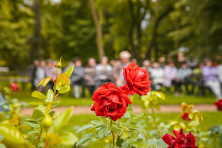 Am 30. Juli 2023 steht der Rosengartensonntag im Zeichen der Zwanziger Jahre.