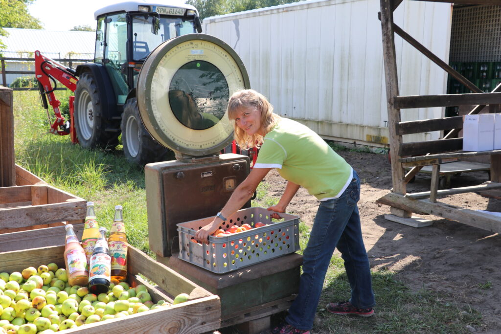 Obstannahme am Stadtpark nimmt an