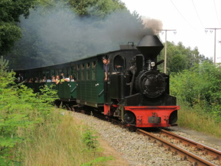 Der Augustdampfer der Muskauer Waldeisenbahn. Jeweils am ersten Wochenende im Monat werden die Züge der nostalgischen Kleinbahn mit historischen Dampflokomotiven bespannt. Foto: Waldeisenbahn Muskau 