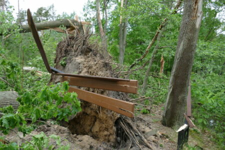 2022 05 22 Sturmschaeden im Euloer Bruch Thoralf Hass 022