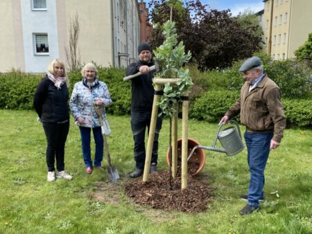 Baum des Jahres 2024