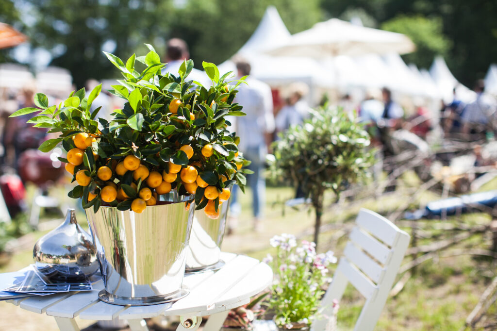 Gartenfestival Park & Schloss Branitz am 25. und 26. Mai.