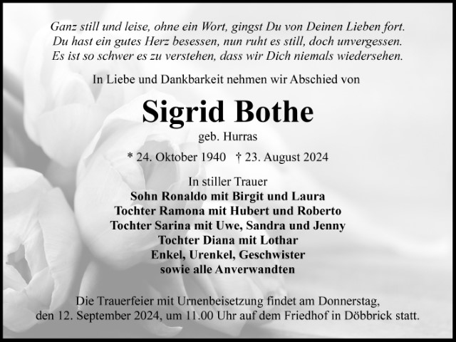 11341 Scheider 310824 Bothe TA Klein