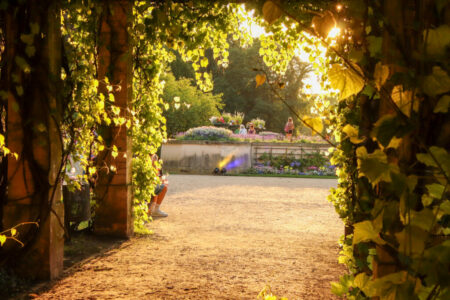 Pergola am Schloss Branitz im Abendlicht SFPM