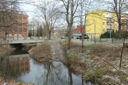 Edelneiße in Guben