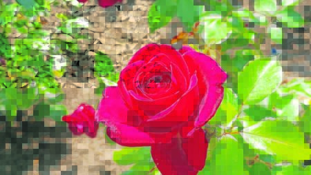 Jugendliebe