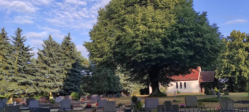 Ein letzter Ruheort voller Leben