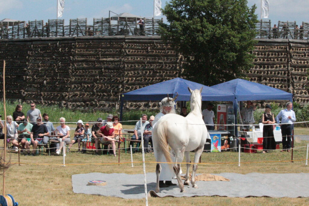 Pferdeorakel in der Slawenburg Raddusch