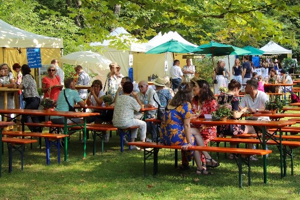 4. Branitzer Weinfest führt an diesem Wochenende Winzer zusammen