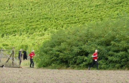 Rund um den Weinberg