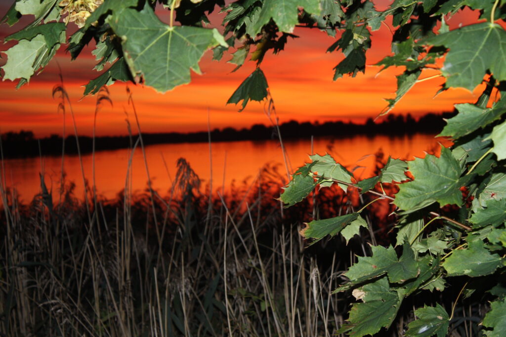 Teichführung in Peitz am 26. September