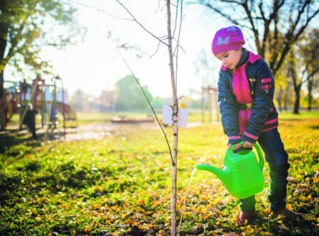 Herbstzeit ist Pflanzzeit: Tipps für den Garten