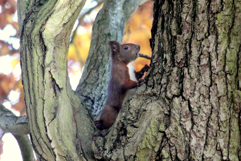 Grano: Wandern im Herbst