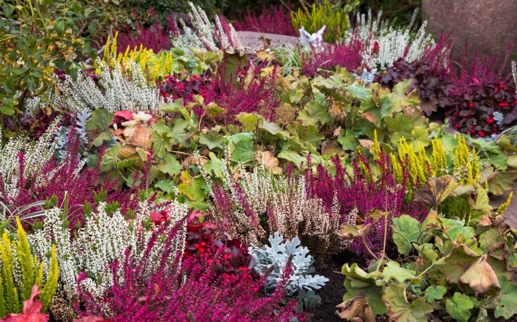 Mit kräftigen Blüten und natürlichen Materialien