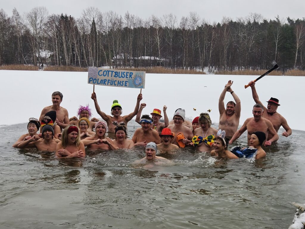 Polarfüchse am Sachsendorfer Badesee zur Jahreswende