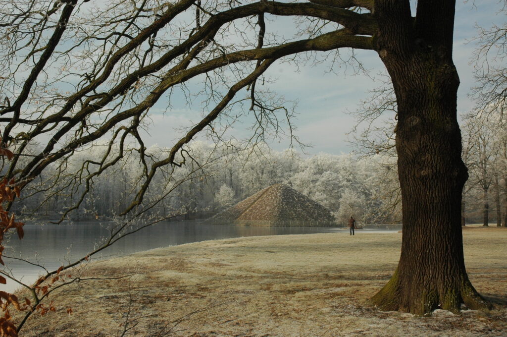 Die guten Absichten fürs Jahr 2026