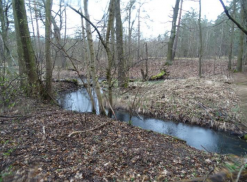 Wassergespräch Lausitz: Wassermangel oder Überfluss?