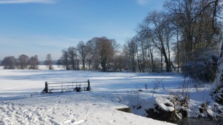 Winterwanderung durch das Gubener Kaltenborn