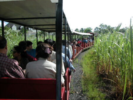 Aus der Werkbahn wurde ein Touristen-Zügele. Ziel ist eine Fabrik der Zuckerrohrverarbeitung aus früheren Zeiten, einschließlich Besuch in der Farmervilla aus dem 19. Jahrhundert.
