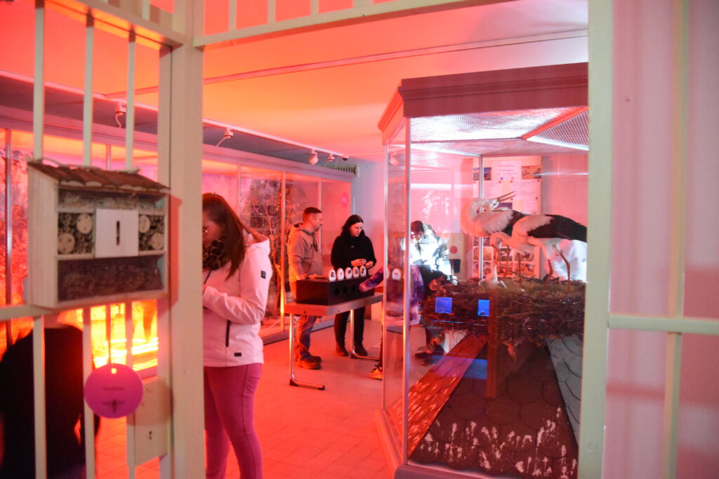 Nachts am Museum am 6. und 7. März in Cottbus