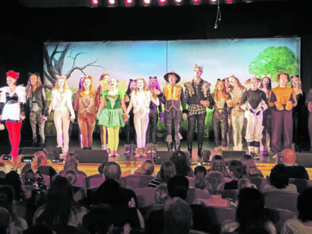 Cottbuser Kindermusical: Willkommen in der Katzenwelt