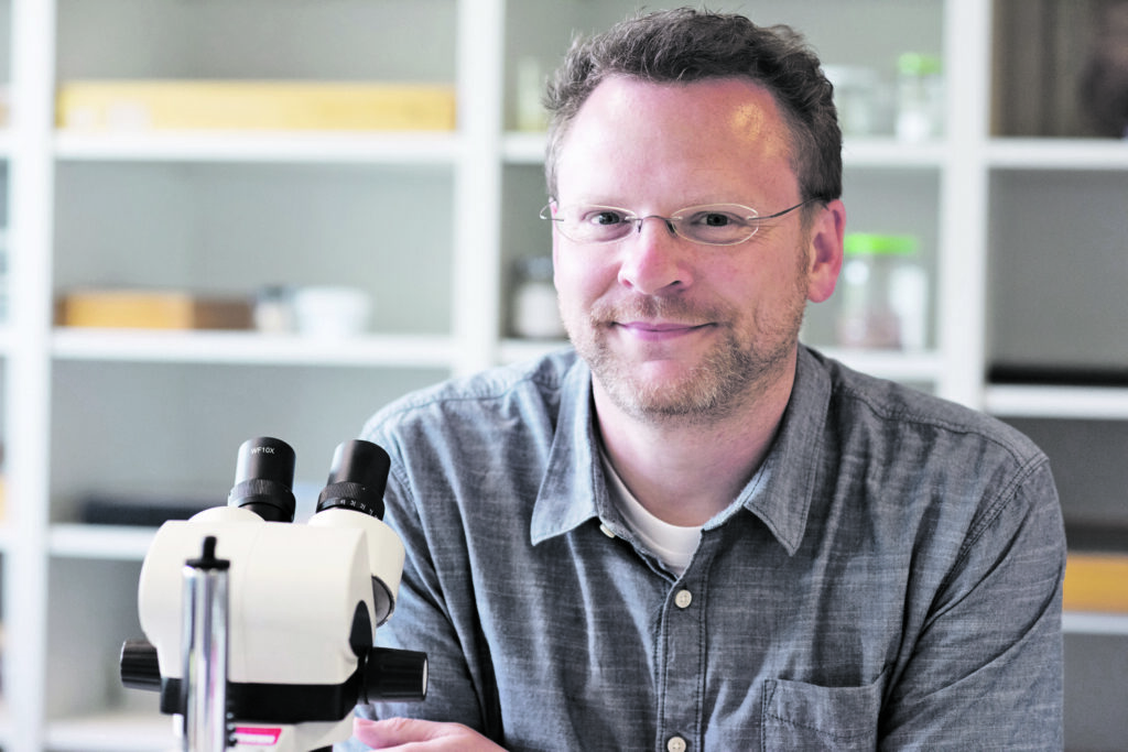 Faszinierende Spinnen: Vorlesung der Kinderuni am 15. und 16. April.