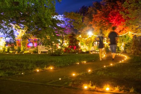 Forst lädt zu den Rosengartenfesttagen ein