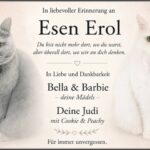 Traueranzeige Esen Erol