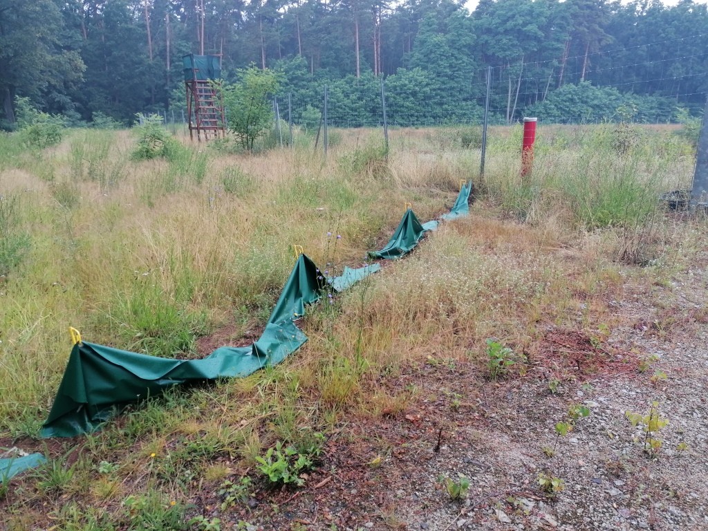 Wiesenteich Renaturierung in Spremberg