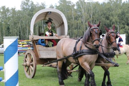 An diesem Wochenende,  25. und 26. Juli, findet auf der schönen Reitanlage „An der Kutzeburger Mühle“ das 30. Dressur- und Springturnier statt. Neben den Turnieren gibt es weitere Programmhöhepunkte wie eine Dressurquadrille der prächtige Friesenpferde vom „Wallishof“ aus Papitz sowie ein Schaubild