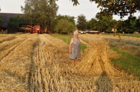 Die letzte Ströbitzer Kornpuppe hat Anni Schultka (verstorben 2005) aufgestellt.