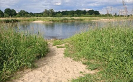 Der Sandweg am wasserarmen Fluss bei Ratzdorf erinnert am Blechens kleines Ölbild „Märkischer Sandweg“. Drüben lag bis 1908 Schiedlo, der einzige Niederlausitzer Ort östlich der Oder.