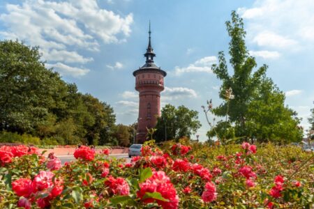 Wasserturmfest in Forst