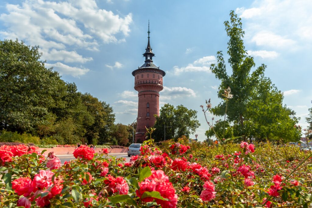 Wasserturmfest in Forst