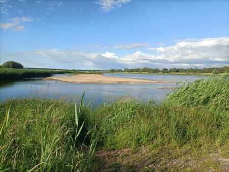 Breite Sandbänke in der Oder bei Hohensaaten. Dieser Sommer war keiner für Oderschiffer... 