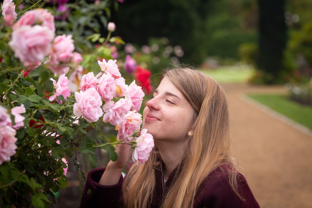 Früh im Rosengarten Forst