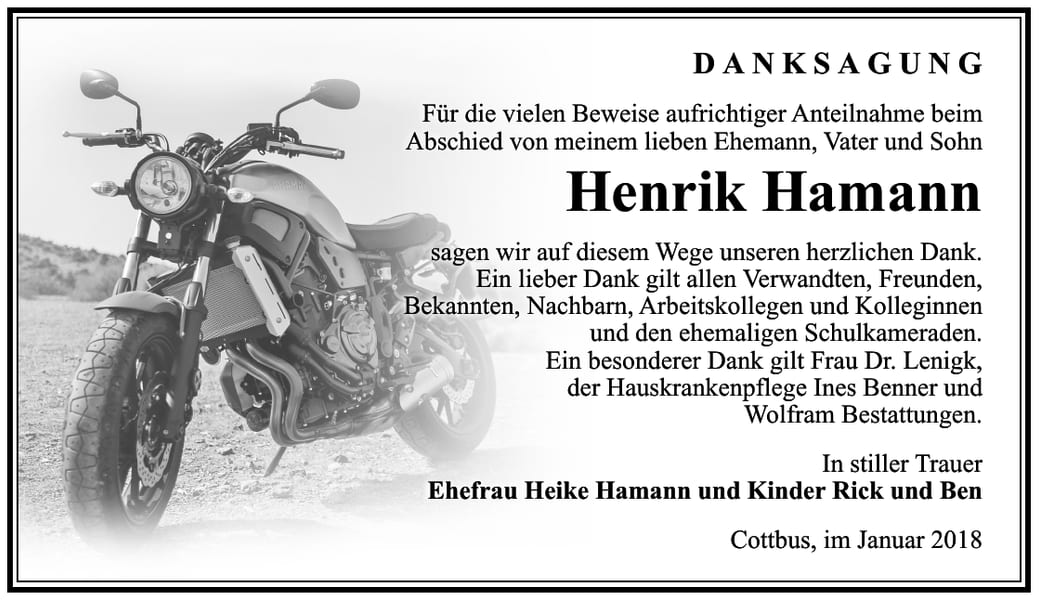 Danksagung Henrik Hamann