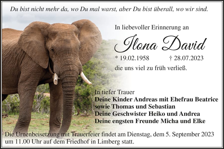 Traueranzeige Ilona David