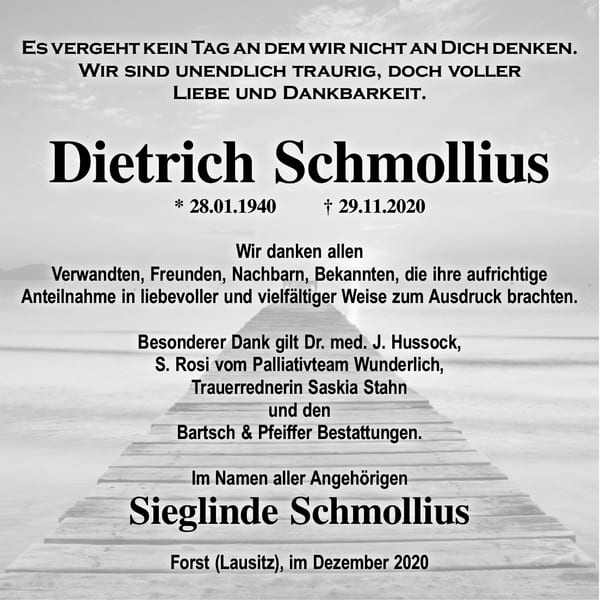 Danksagung Dietrich Schmollius