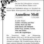 Traueranzeige Anneliese Moll