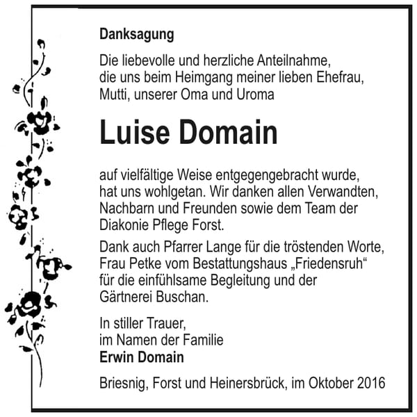 Danksagung Luise Domain