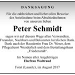 Danksagung Peter Schmidt
