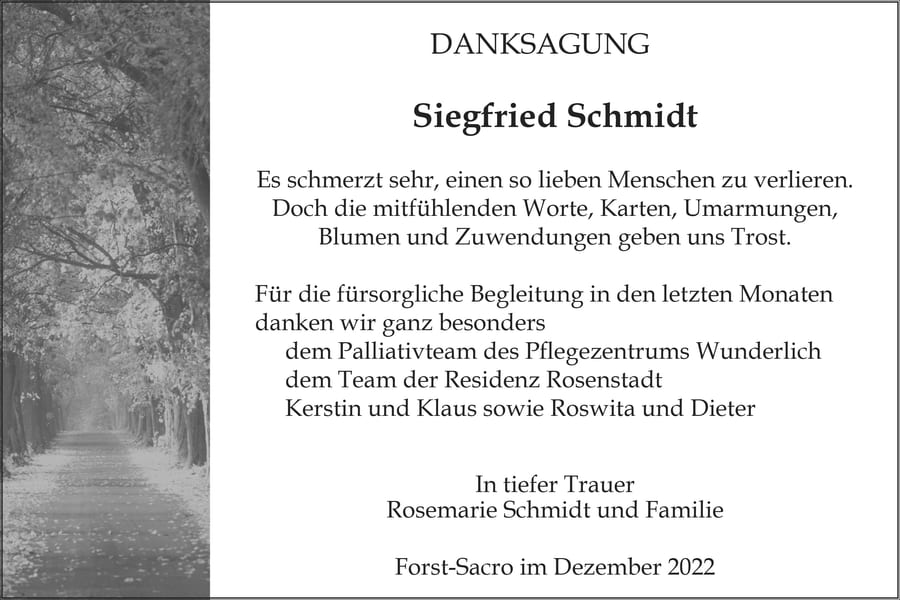 Danksagung Siegfried Schmidt