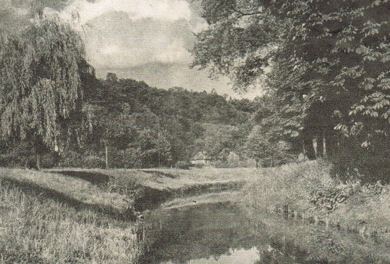 Erinnerungen an die Kindheit an der Spremberger Spree