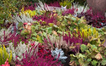 Mit dem Herbst weichen die letzten Sommerblumen einer farbenfrohen und winterfesten Grabgestaltung. Herbstblüher, immergrüne Pflanzen und liebevoll arrangierte Gestecke sorgen auch in der kalten Jahreszeit für eine gepflegte und würdevolle Ruhestätte.